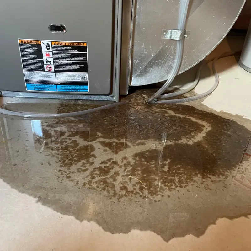 Appliance Leak Cleanup in Papaikou, HI