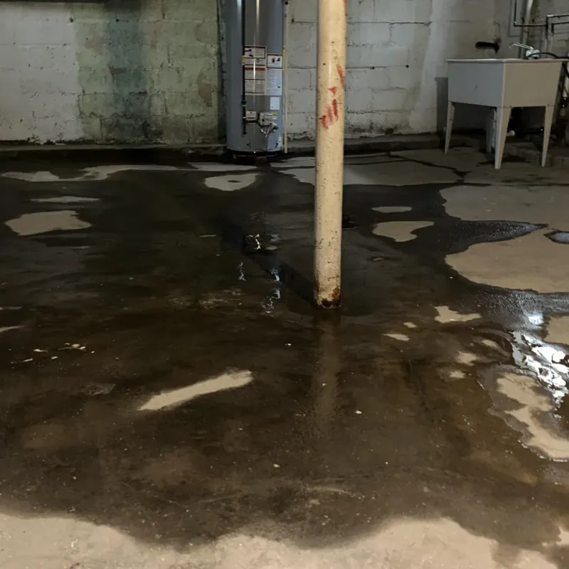 Emergency Water Extraction And Removal in Papaikou, HI